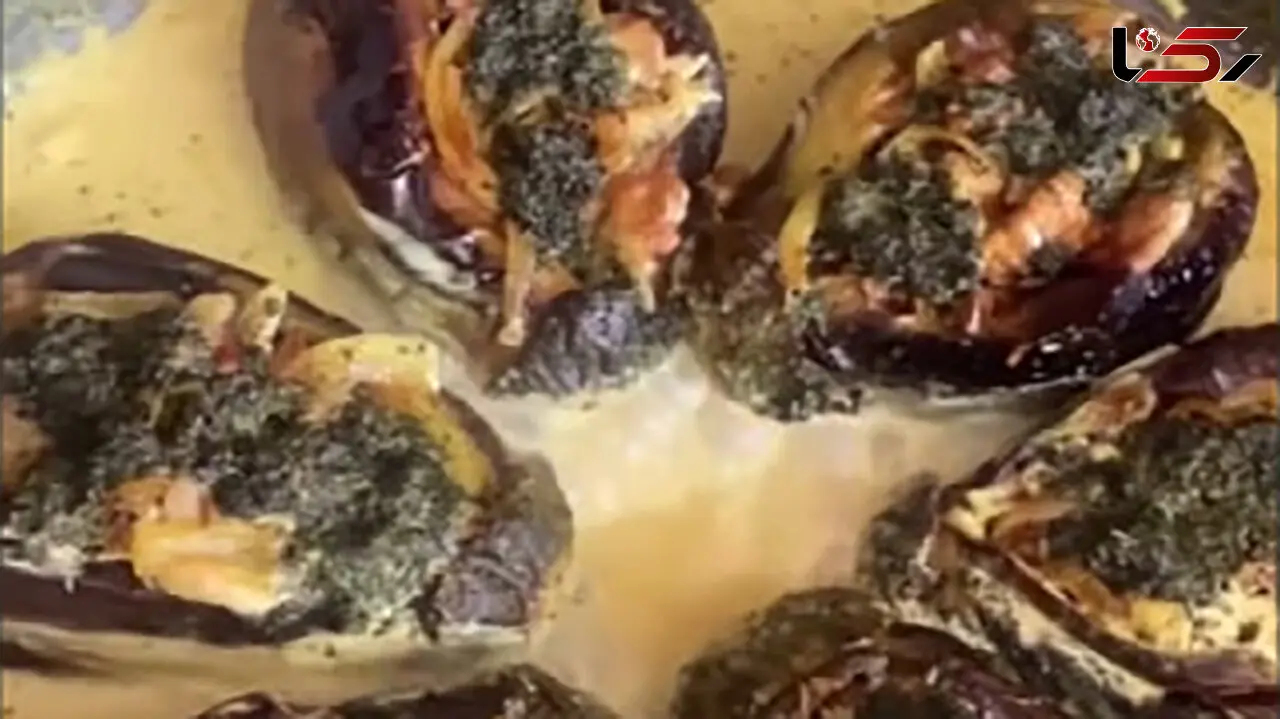 طرز تهیه کشک و بادمجون متفاوت با یک تزئین خاص | فیلم