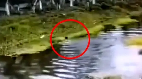 زن کارمند برای دیر نرسیدن به سرکار در خیابان شنا کرد! + عکس