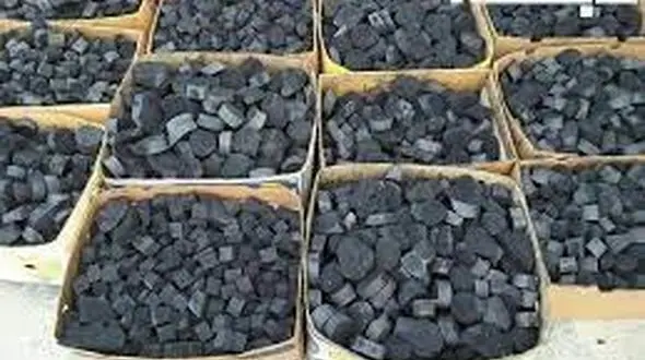 قاچاق سه تن ذغال تاغ گران تمام شد!/ ورود تعزیرات حکومتی به پرونده