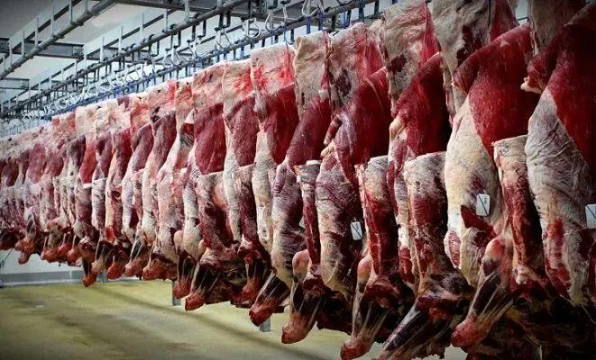 مهر جعلی روی گوشت های غیر بهداشتی !