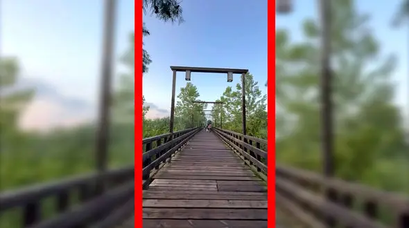 فیلم زیبایی پل چوبی کیاشهر در گیلان