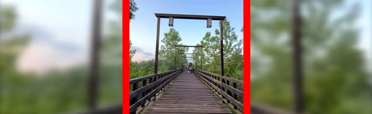 فیلم زیبایی پل چوبی کیاشهر در گیلان