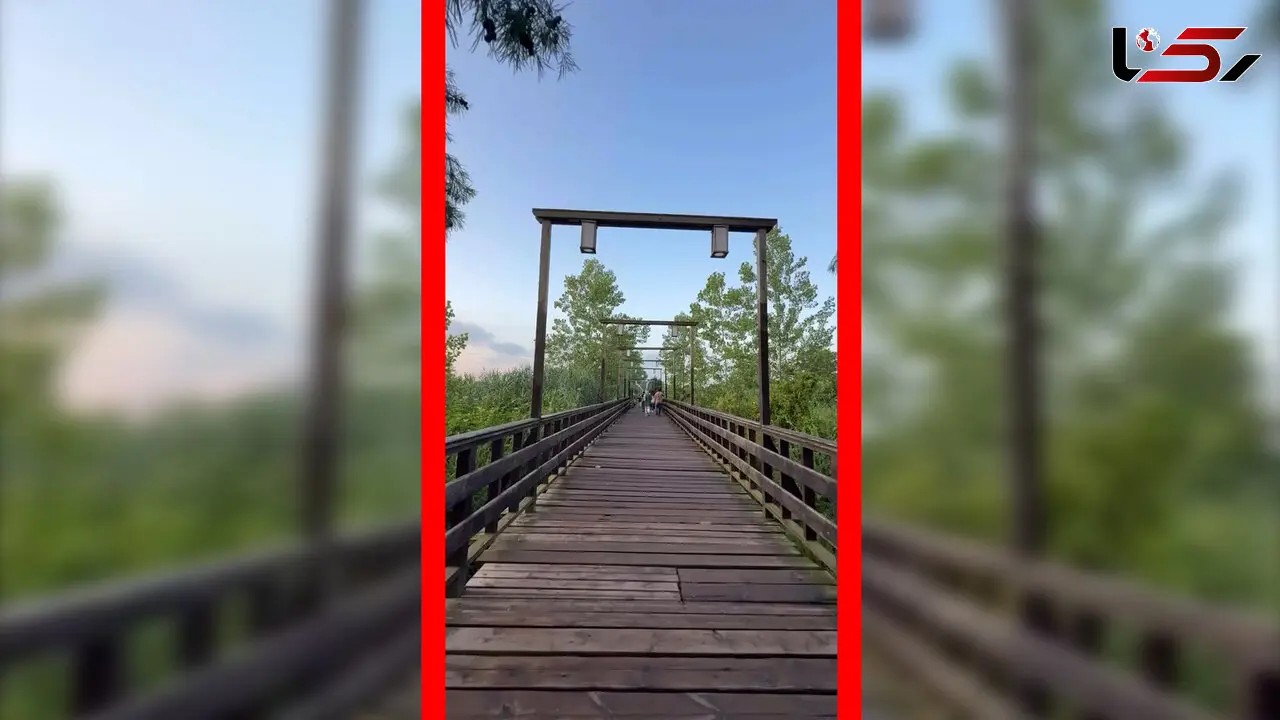فیلم زیبایی پل چوبی کیاشهر در گیلان