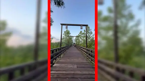 فیلم زیبایی پل چوبی کیاشهر در گیلان