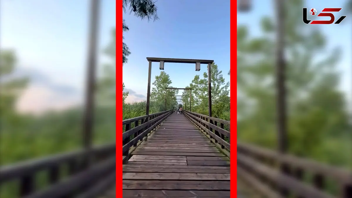 فیلم زیبایی پل چوبی کیاشهر در گیلان