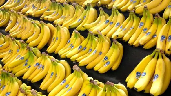 اشتهای مردم نسبت به خوردن موز کمتر شده است! 