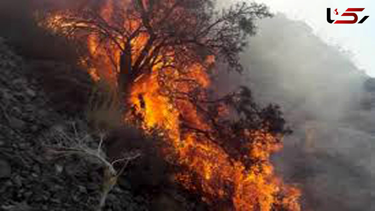 آتش سوزی در منطقه باچون فارس