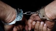 بازداشت 4 سارق حرفه ای در پردیس