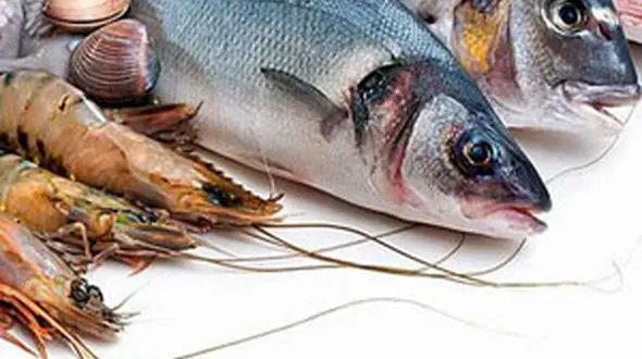قیمت ماهی و میگو در میادین میوه و تره بار