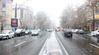 بارش برف اسیدی در تهران/ به ساختمان ، گیاهان و انسان ها صدمه زد / 23 دستگاه مسئول همچنان در حال پاسکاری + فیلم