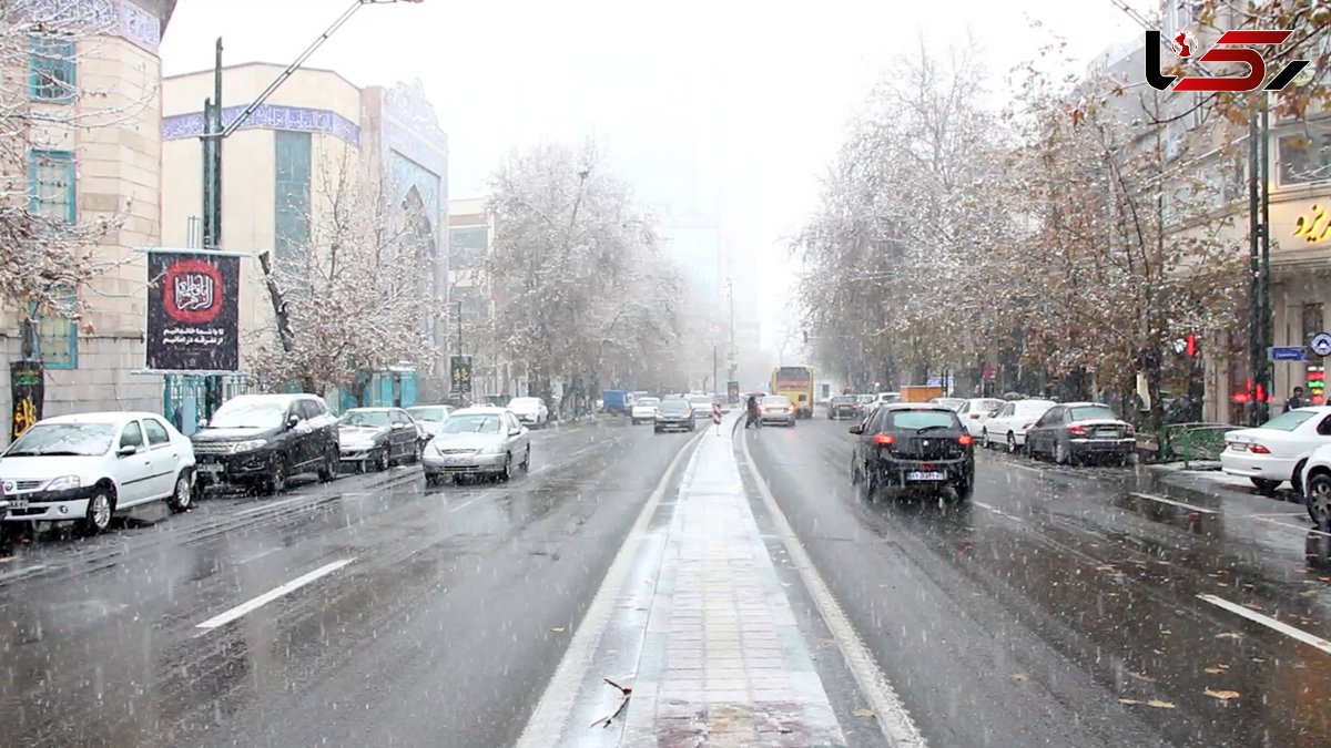 بارش برف اسیدی در تهران/ به ساختمان ، گیاهان و انسان ها صدمه زد / 23 دستگاه مسئول همچنان در حال پاسکاری + فیلم