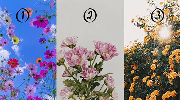 تست شخصیت شناسی / تشخیص قدرت درونی با انتخاب گل 