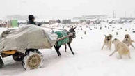 مرگ 13 روستایی در آوار بهمن 