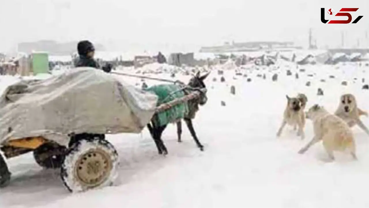 مرگ 13 روستایی در آوار بهمن 
