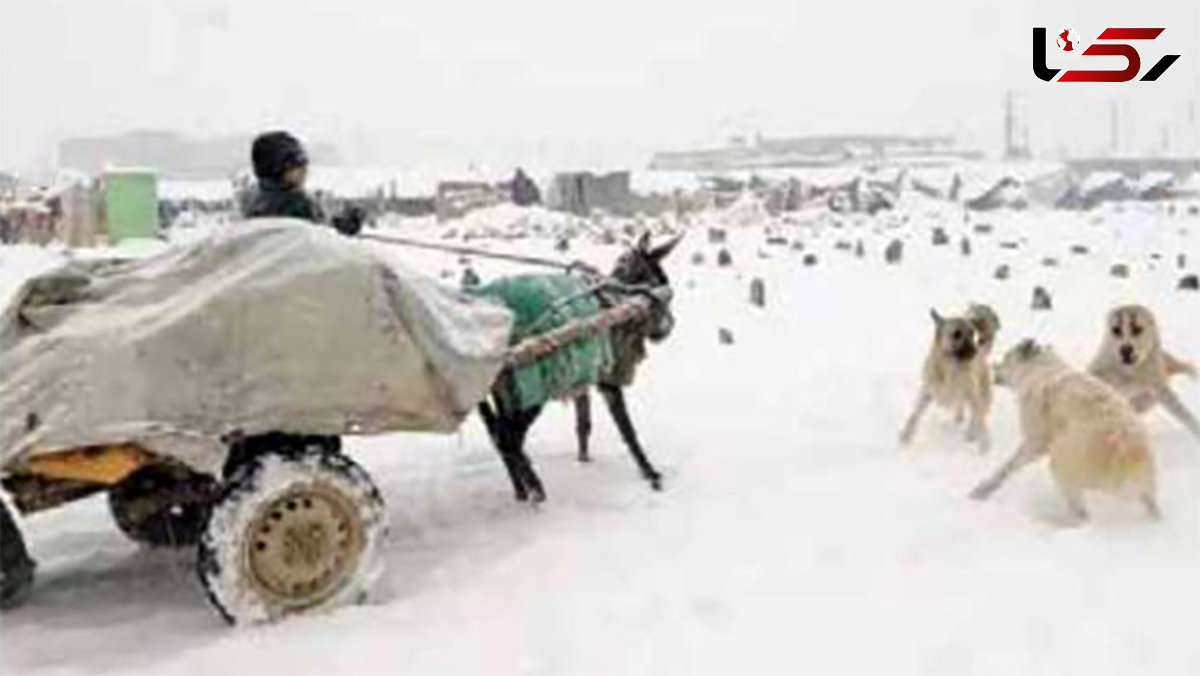 مرگ 13 روستایی در آوار بهمن 