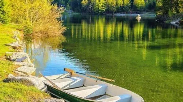 از زود گذر بودن زندگی تا زندگی در همین لحظه های کوتاه