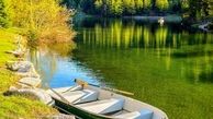 از زود گذر بودن زندگی تا زندگی در همین لحظه های کوتاه