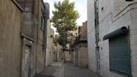 افغانستانی ها در ایران کمتر از ایرانیان اجاره می‌پردازند/ اتباع اجاره خانه را ناعادلانه کرده اند + فیلم