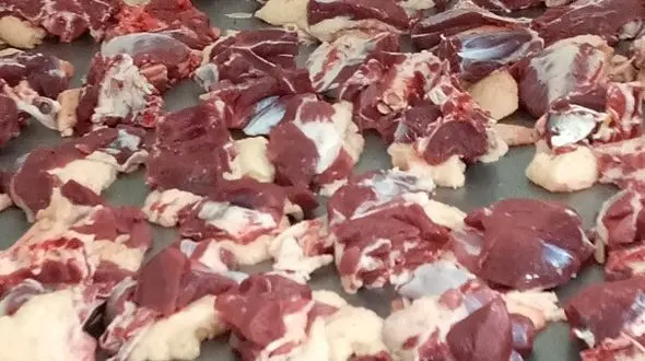 پویش نذر قربانی برگزار می شود 