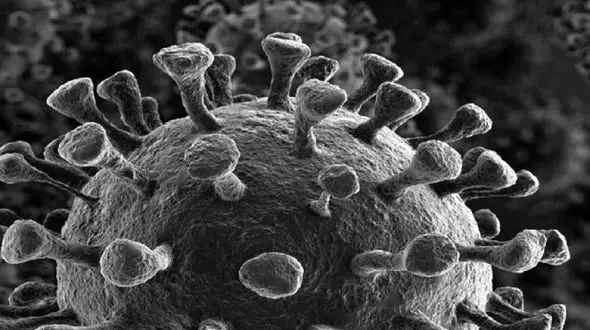 نام سویه های بعدی کرونا را بشناسید !