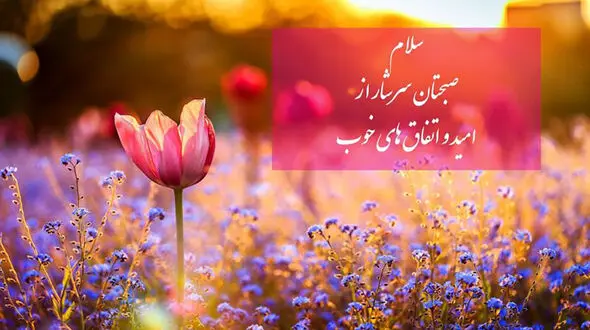 جملات ارسالی سلام صبح بخیر جمعه 23 آذر + فیلم
