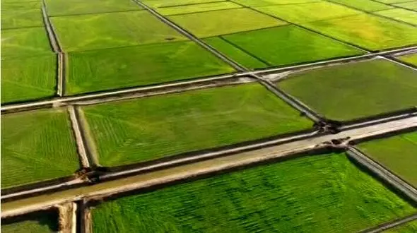 معضل خرد شدن زمین های کشاورزی جدی است