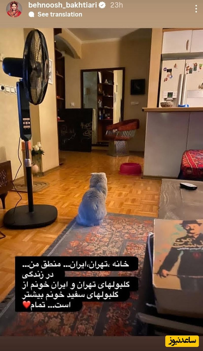 استوری بهنوش بختیاری