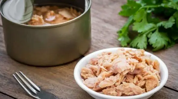 پشت پرده کنسرو تن ماهی با پنبه + فیلم