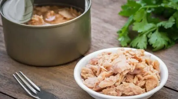 پشت پرده کنسرو تن ماهی با پنبه + فیلم