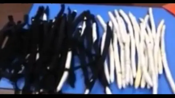 موهای جادویی دختر جوان او را در فرودگاه گرفتار کرد+فیلم وعکس