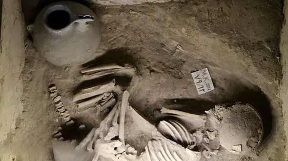 تصاویر عجیب از اسکلت نوزادان در تبریز + تصاویر
