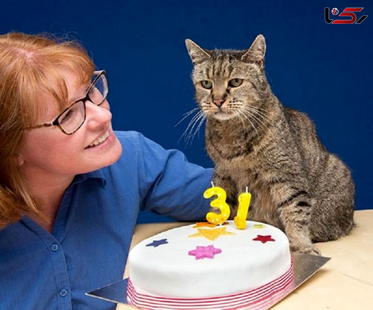این گربه 31 ساله پیرترین گربه دنیاست+عکس
