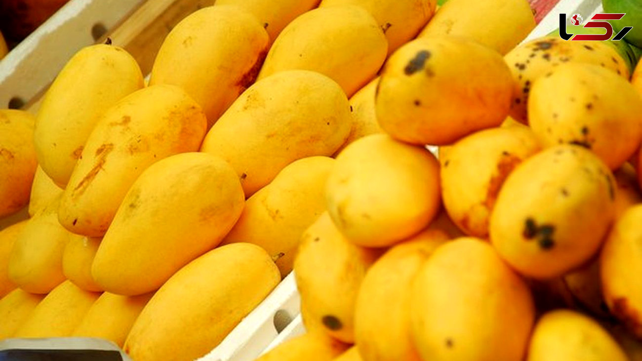 قیمت میوه های گرمسیری کاهش یافت / انبه کیلویی 35 هزار تومان