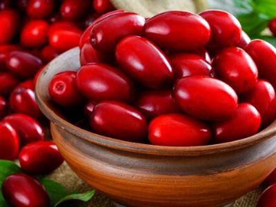 زغال اخته و آب آن: گنجینه‌ ای برای سلامتی و درمان