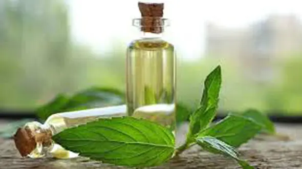درمان اختلالات بلع به کمک یک روغن خوشبو