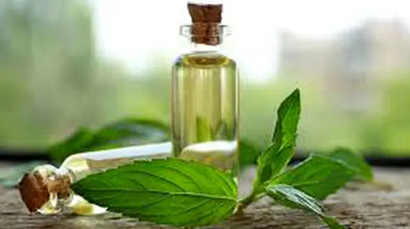 درمان اختلالات بلع به کمک یک روغن خوشبو