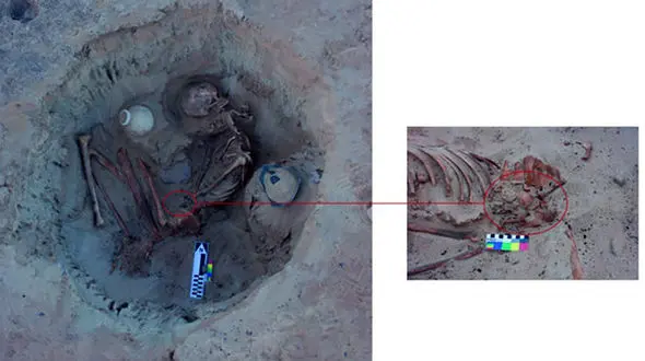 راز اسکلت های زنانی که بچه در شکم داشتند چیست؟!  + عکس