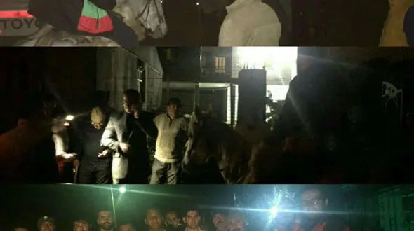 2 نفر به خاطر خوردن ازگیل در جنگل آمل گم شدند! +عکس