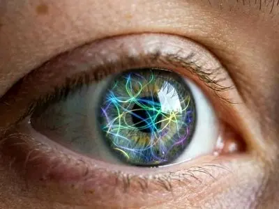 کشف حواس جدید انسان: شاید 33 حس داشته باشیم!