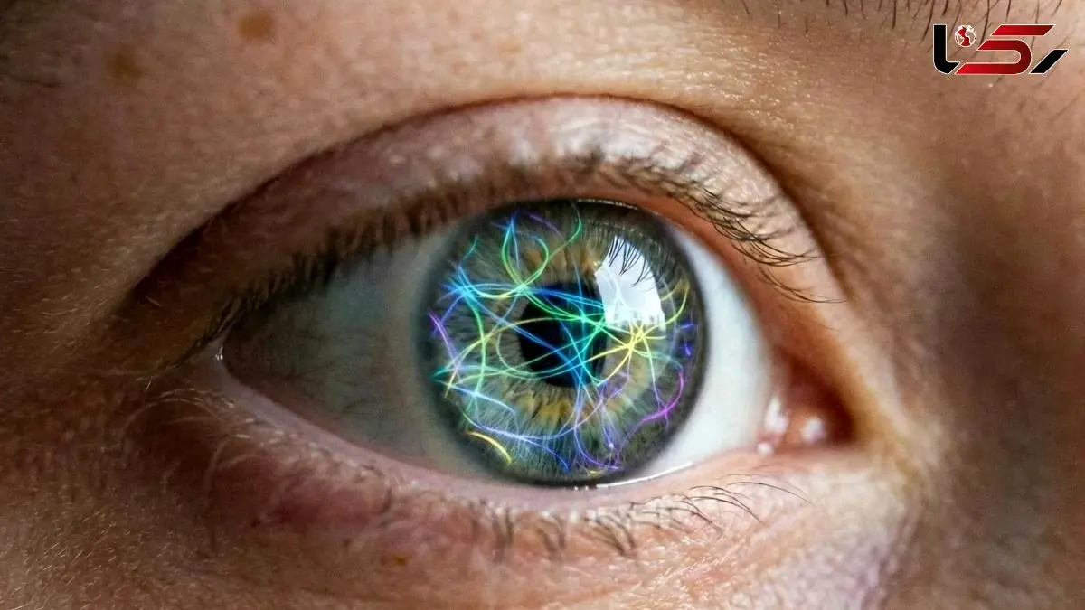 کشف حواس جدید انسان: شاید 33 حس داشته باشیم!