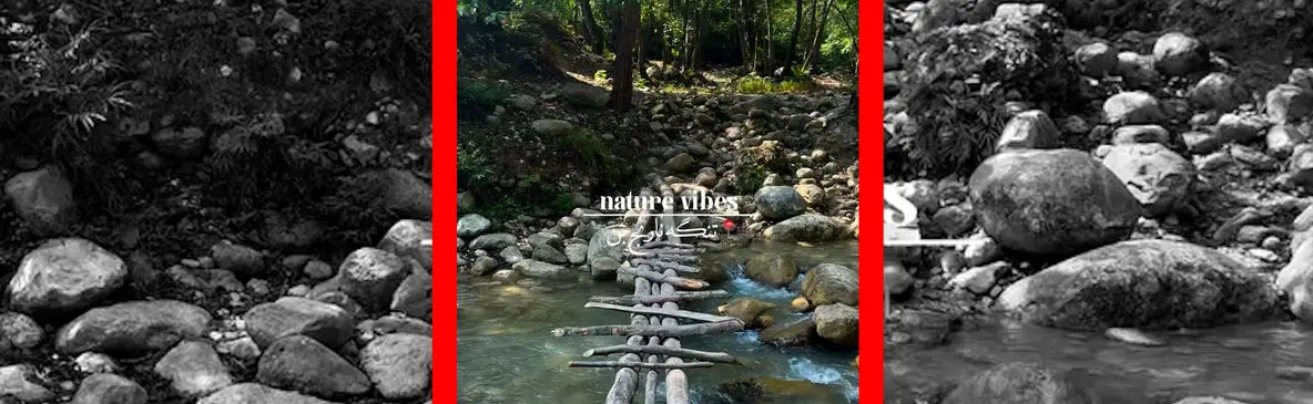 فیلم طبیعت بکر و شگفت انگیز تنگه نارنج بن