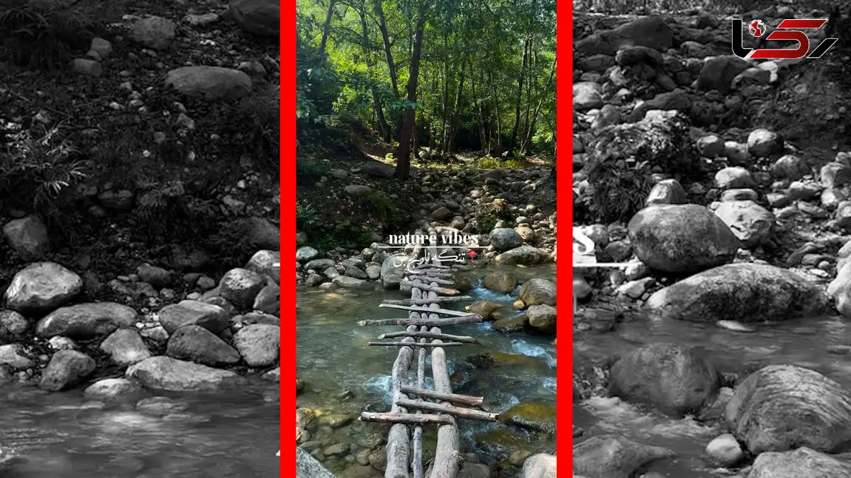 فیلم طبیعت بکر و شگفت انگیز تنگه نارنج بن