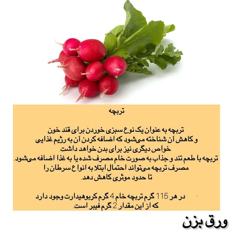 تربچه