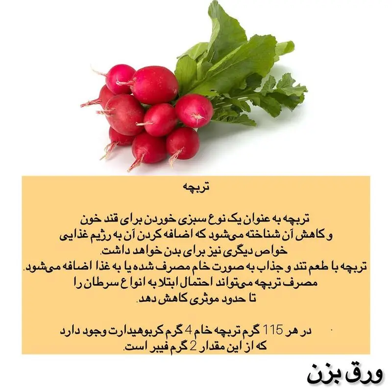 تربچه