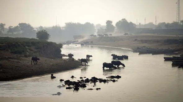 سیاست خارجه ما توان حل مسائل جدید مانند مناقشه آب را ندارد/ عراق و ترکیه مسئول خشک شدن هورالعظیم هستند
