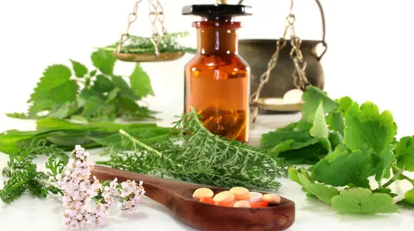 داروخانه خانگی تان را از این گیاهان پر کنید