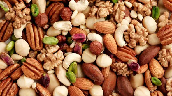  برخی کاندیداها مرغ و آجیل می‌دهند! 