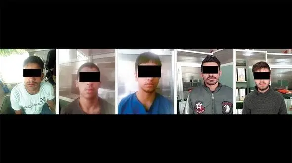 «چوپان ها» دروغگو نبودند! / گرگها گوشت گوسفندان را می فروختند + عکس هاشم سیاه