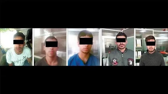 «چوپان ها» دروغگو نبودند! / گرگها گوشت گوسفندان را می فروختند + عکس هاشم سیاه