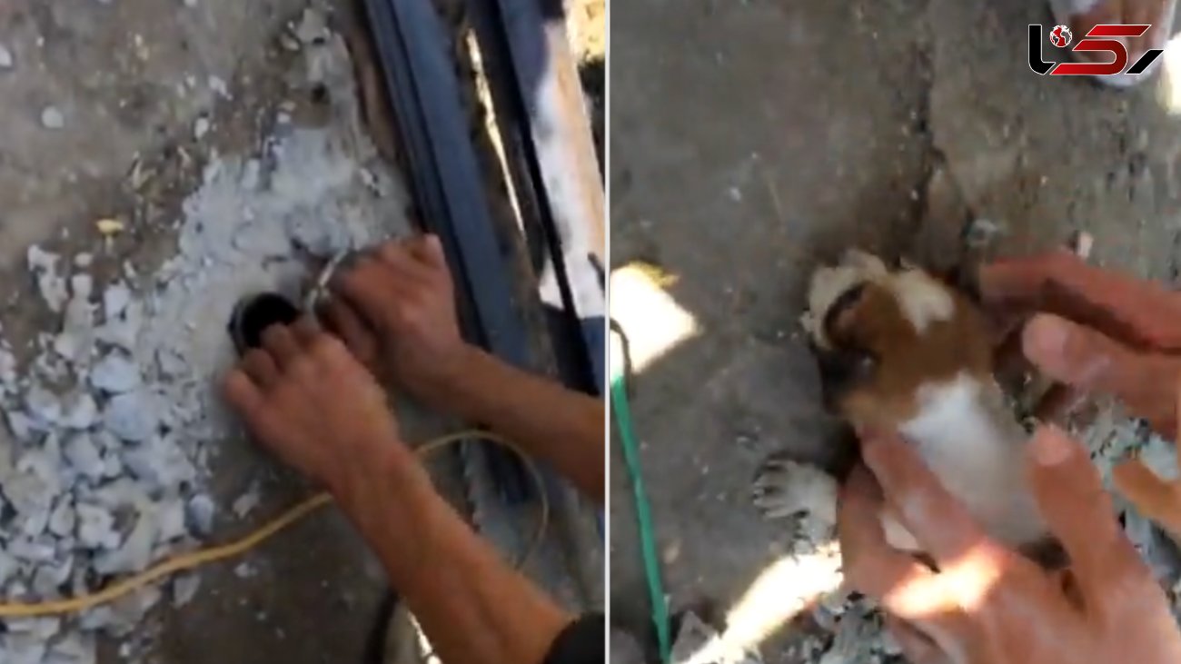نجات توله یک سگ توسط چند جوان از داخل لوله آب + فیلم